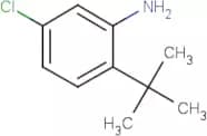2-tert-Butyl-5-chloroaniline