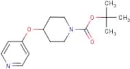 tert-Butyl 4-(pyridin-4-yloxy)piperidine-1-carboxylate
