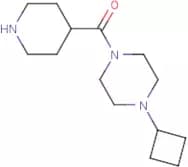 1-Cyclobutyl-4-(piperidine-4-carbonyl)piperazine