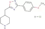 4-{[3-(4-Methoxyphenyl)-1,2,4-oxadiazol-5-yl]methyl}piperidine hydrochloride