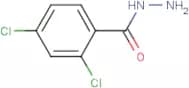 2,4-Dichlorobenzhydrazide