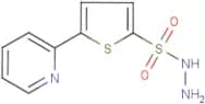 5-(Pyridin-2-yl)thiophene-2-sulphonohydrazide