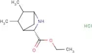 Ethyl (3S)-5,6-dimethyl-2-azabicyclo[2.2.1]heptane-3-carboxylate hydrochloride