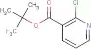 tert-Butyl 2-chloronicotinate