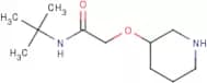 N-tert-Butyl-2-(piperidin-3-yloxy)acetamide