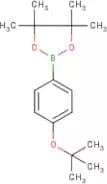 4-(tert-Butoxy)benzeneboronic acid, pinacol ester