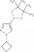 1-Cyclobutyl-1H-pyrazole-4-boronic acid pinacol ester