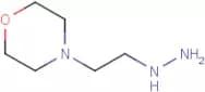 4-(2-Hydrazinylethyl)morpholine
