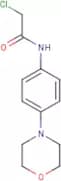 2-Chloro-N-[4-(morpholin-4-yl)phenyl]acetamide