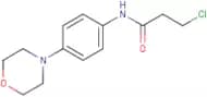 3-Chloro-N-[4-(morpholin-4-yl)phenyl]propanamide