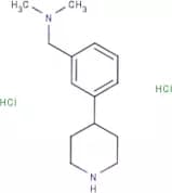N,N-Dimethyl-1-(3-(piperidin-4-yl)phenyl)methanamine dihydrochloride