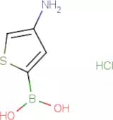 (4-Aminothiophen-2-yl)boronic acid hydrochloride