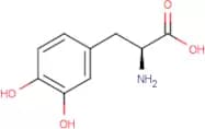 3,4-Dihydroxy-l-phenylalanine