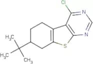 7-tert-Butyl-4-chloro-5,6,7,8-tetrahydro-benzo[4,5]thieno[2,3-d]pyrimidine