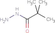 Pivalic acid hydrazide