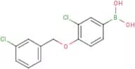 3-Chloro-4-(3'-Chlorobenzyloxy)phenylboronic acid