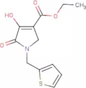 Ethyl 4-hydroxy-5-oxo-1-(2-thienylmEthyl)-2,5-dihydro-1H-pyrrole-3-carboxylate