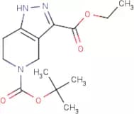 5-tert-Butyl 3-ethyl 6,7-dihydro-1H-pyrazolo[4,3-c]pyridine-3,5(4H)-dicarboxylate