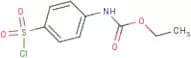 (4-Chlorosulfonyl-phenyl)-carbamic acid ethyl ester
