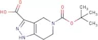 5-(tert-Butoxycarbonyl)-4,5,6,7-tetrahydro-1H-pyrazolo[4,3-c]pyridine-3-carboxylic acid