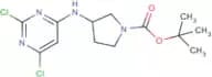 tert-Butyl 3-(2,6-dichloropyrimidin-4-ylamino)pyrrolidine-1-carboxylate