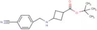 tert-Butyl 3-(4-cyanobenzylamino)cyclobutanecarboxylate