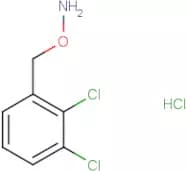 O-[(2,3-Dichlorophenyl)methyl]hydroxylamine hydrochloride