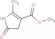Methyl 2-methyl-5-oxo-4,5-dihydro-1H-pyrrole-3-carboxylate