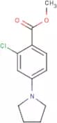 Methyl 2-chloro-4-(pyrrolidin-1-yl)benzoate