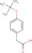 2-[4-(tert-Butoxy)phenyl]acetic acid