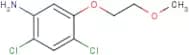 2,4-Dichloro-5-(2-methoxyethoxy)aniline