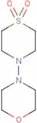 4-(Morpholin-4-yl)-1λ6-thiomorpholine-1,1-dione