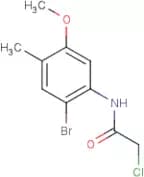N-(2-Bromo-5-methoxy-4-methylphenyl)-2-chloroacetamide