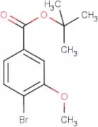 tert-Butyl 4-bromo-3-methoxybenzoate