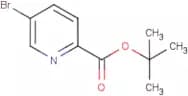 tert-Butyl 5-bromopyridine-2-carboxylate
