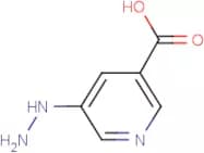 5-Hydrazinyl pyridine-3-carboxylic acid