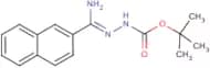N'-[1-Amino-1-naphthalen-2-ylmethylidene]hydrazinecarboxylic acid tert-butyl ester