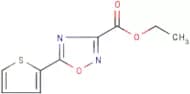 Ethyl 5-thiophen-2-yl-[1,2,4]oxadiazole-3-carboxylate