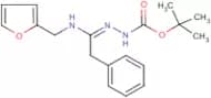 N'-[1-[(Furan-2-ylmethyl)amino]2-phenylethylidene]hydrazinecarboxylic acid tert-butyl ester