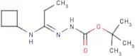 N'-[1-Cyclobutylaminopropylidene]hydrazinecarboxylic acid tert-butyl ester