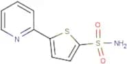 5-Pyridin-2-yl-thiophene-2-sulphonic acid amide