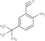 2-Amino-5-tert-butyl-benzonitrile