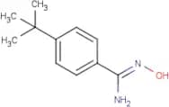 4-tert-Butyl-N'-hydroxy-benzamidine