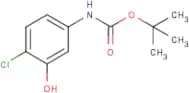 (4-Chloro-3-hydroxy-phenyl)-carbamic acid tert-butyl ester