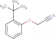 (2-tert-Butylphenoxy)acetonitrile