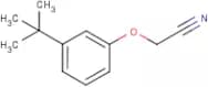(3-tert-Butylphenoxy)acetonitrile