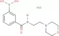 3-[(2-Morpholin-4-ylethyl)carbamoyl]benzeneboronic acid hydrochloride