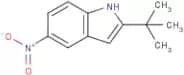 2-(tert-Butyl)-5-nitro-1H-indole