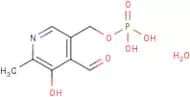 Pyridoxal 5'-phosphate monohydrate