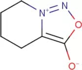 4,5,6,7-Tetrahydro-[1,2,3]oxadiazolo[3,4-a]pyridin-8-ium-3-olate
